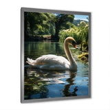 Swans Refuge In Tropical Lake - Swans Canvas Wall Art