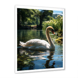 Swans Refuge In Tropical Lake - Swans Canvas Wall Art