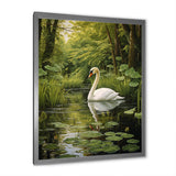 Swans Refuge By The Lake - Swans Wall Decor