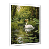 Swans Refuge By The Lake - Swans Wall Decor