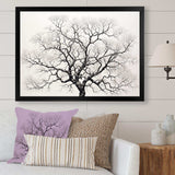 Minimalism Black And White Trees Oak - Floral Canvas Wall Art