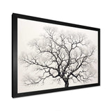 Minimalism Black And White Trees Oak - Floral Canvas Wall Art