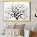 Minimalism Black And White Trees Oak - Floral Canvas Wall Art