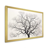 Minimalism Black And White Trees Oak - Floral Canvas Wall Art