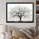 Minimalism Black And White Trees Oak II - Floral Canvas Wall Art