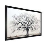 Minimalism Black And White Trees Oak II - Floral Canvas Wall Art