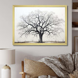 Minimalism Black And White Trees Oak II - Floral Canvas Wall Art