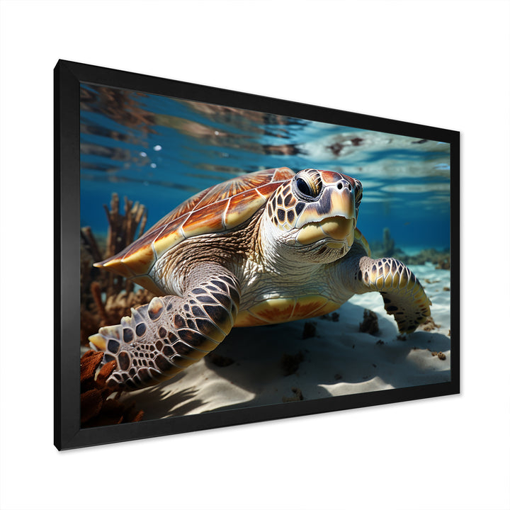 Minimalist Lagoon Turtle - Turtle Wall Art Prints