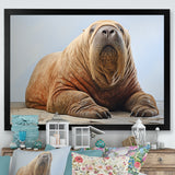 lazy Walrus habitat - Walrus Wall Decor