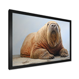 lazy Walrus habitat - Walrus Wall Decor
