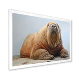 lazy Walrus habitat - Walrus Wall Decor