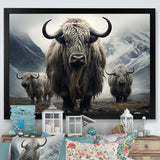 Monochrome Yaks Grazing Scene - Yaks Canvas Wall Art