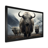 Monochrome Yaks Grazing Scene - Yaks Canvas Wall Art