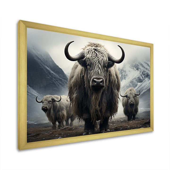 Monochrome Yaks Grazing Scene - Yaks Canvas Wall Art
