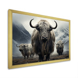 Monochrome Yaks Grazing Scene - Yaks Canvas Wall Art