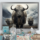 Monochrome Yaks Grazing Scene - Yaks Canvas Wall Art