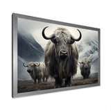Monochrome Yaks Grazing Scene - Yaks Canvas Wall Art