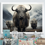 Monochrome Yaks Grazing Scene - Yaks Canvas Wall Art