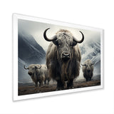 Monochrome Yaks Grazing Scene - Yaks Canvas Wall Art
