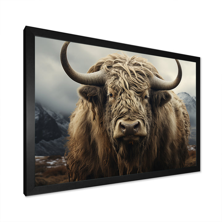 Monochrome Yak Grazing Scene - Yaks Wall Decor