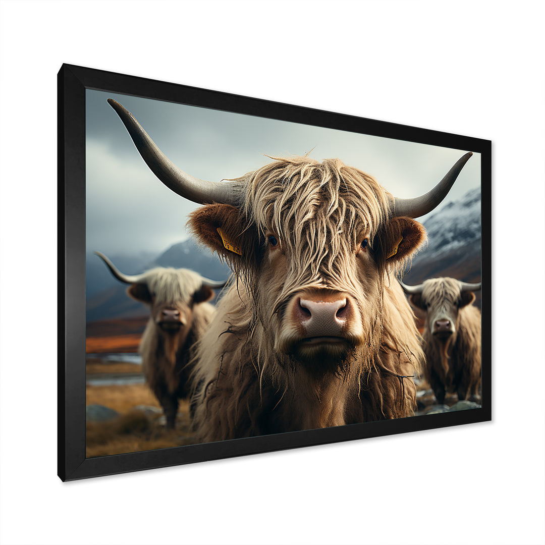 Majestic Highlands Yaks - Yaks Wall Decor