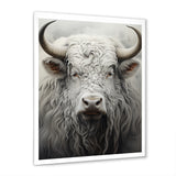 minimalism grey Yak painting - Black Yaks Wall Art
