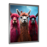 Pink Alpacas Wool Artistry - Pink Alpaca Wall Art