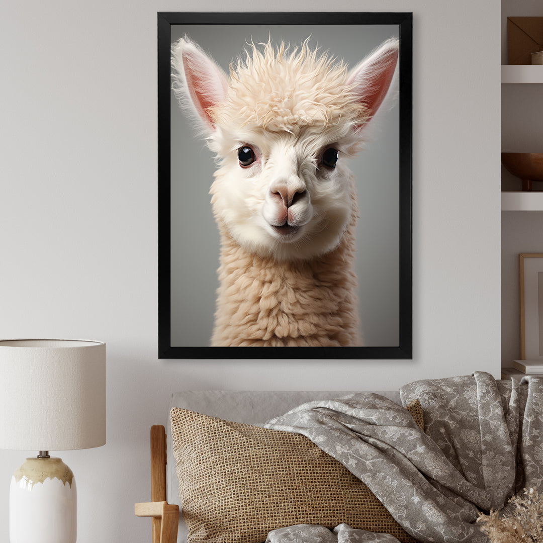 White Majestic Alpaca portrait - Alpaca Wall Art Prints