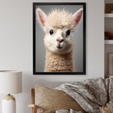 White Majestic Alpaca portrait - Alpaca Wall Art Prints