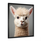 White Majestic Alpaca portrait - Alpaca Wall Art Prints