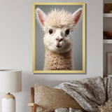 White Majestic Alpaca portrait - Alpaca Wall Art Prints