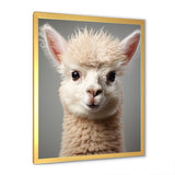 White Majestic Alpaca portrait - Alpaca Wall Art Prints