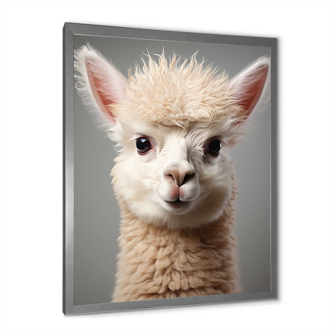 White Majestic Alpaca portrait - Alpaca Wall Art Prints