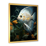 White Classical Butterfly fish Symphony - Butterfly Fish Framed Canvas Art