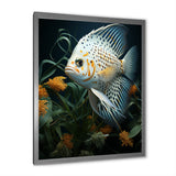 White Classical Butterfly fish Symphony - Butterfly Fish Framed Canvas Art