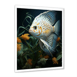White Classical Butterfly fish Symphony - Butterfly Fish Framed Canvas Art