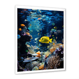 Blue butterfly fish Marine Grace - Butterfly Fish Bedroom Wall Art