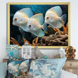 White and blue butterfly fish Wonderland - White Butterfly Fish Wall Art