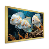 White and blue butterfly fish Wonderland - White Butterfly Fish Wall Art