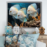 White and blue butterfly fish Wonderland - White Butterfly Fish Wall Art