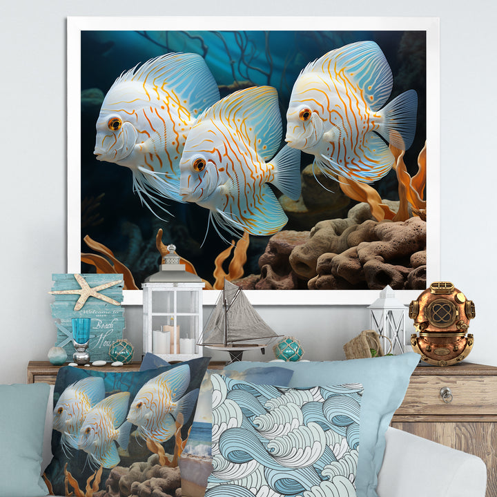 White and blue butterfly fish Wonderland - White Butterfly Fish Wall Art
