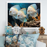 White and blue butterfly fish Wonderland - White Butterfly Fish Wall Art