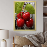 Red Cherry tree explosion 3 - Floral Canvas Wall Art