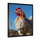Rooster portrait photo - Chicken Canvas Wall Art