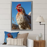 Rooster portrait photo - Chicken Canvas Wall Art
