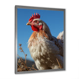 Rooster portrait photo - Chicken Canvas Wall Art
