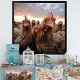Red Chicken family at sunset - Chicken Wall Art Prints