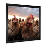 Red Chicken family at sunset - Chicken Wall Art Prints