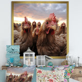 Red Chicken family at sunset - Chicken Wall Art Prints