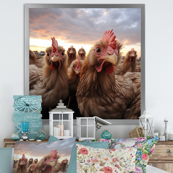 Red Chicken family at sunset - Chicken Wall Art Prints
